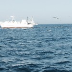 Battute_Pesca_Sicilia_Sportiva_Altura